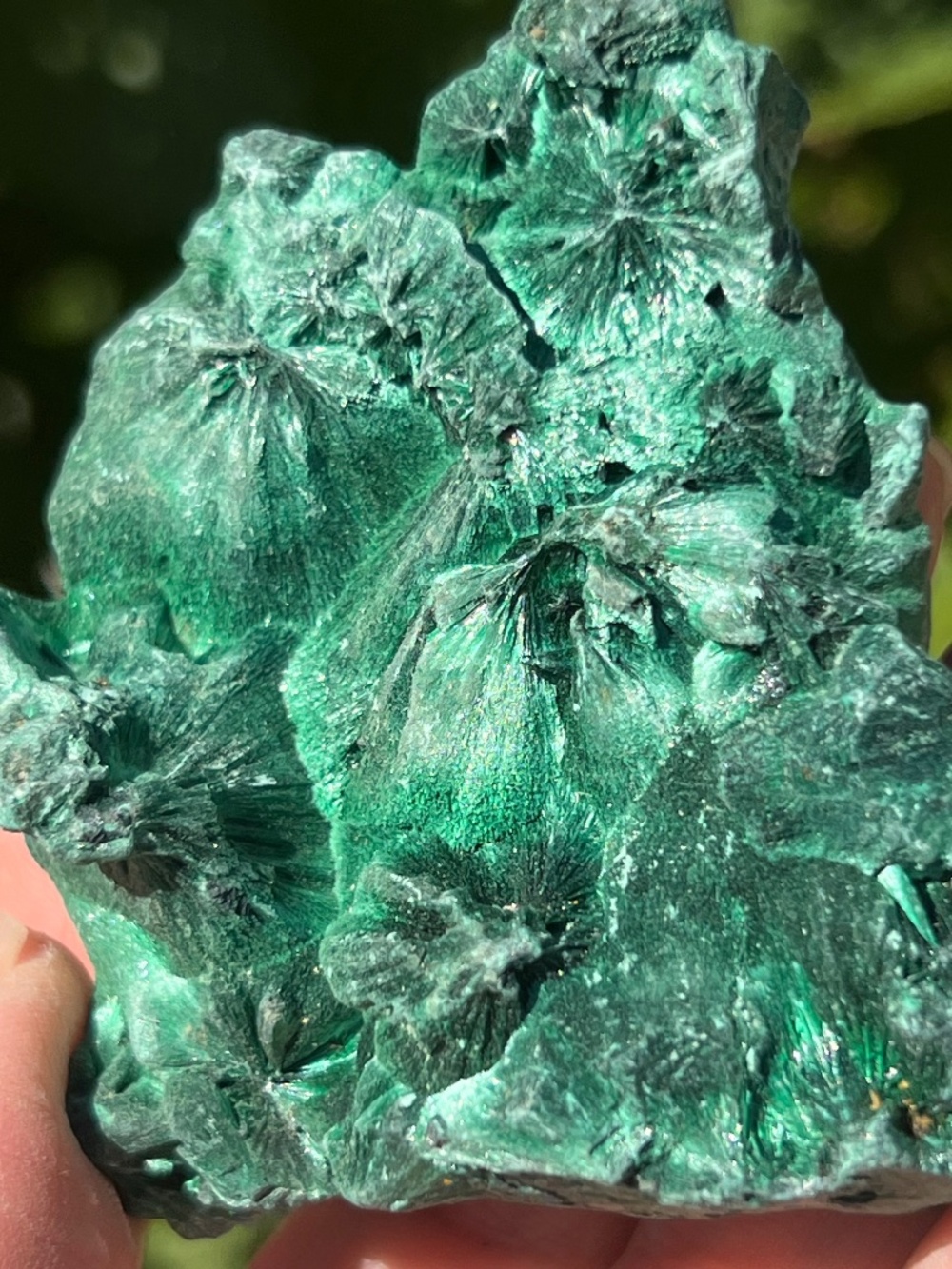 Malachite (13) specimen with stand ~ Crystal
